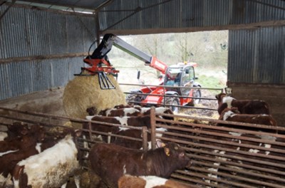 Manitou 7 mètres 3,5 tonnes Turbo